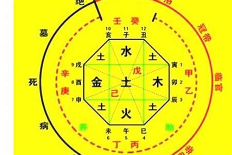 出生年 五行|生辰八字算命、五行喜用神查询（免费测算）